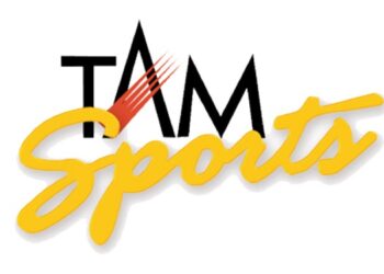 A Tale of Two Finals: How India’s Absence Impacted Ad Volumes in ICC Test Championship 2025