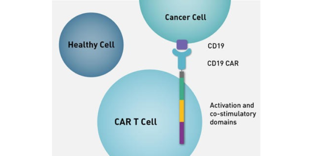 MOC Cancer Care & Research Centre aims to showcase blood cancer patients’ challenges and advanced therapies’ transformative potential