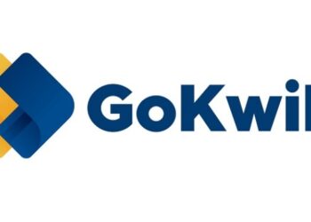 D2C brands surpassed marketplaces with a 64% order growth versus 26%: GoKwik