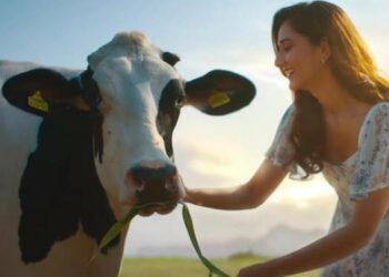 Pride of Cows brand film showcases the correct practices being followed at the dairy farm