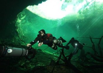 Sony BBC Earth's 'Earth’s Handpicked Tales' showcases remarkable stories of the planet