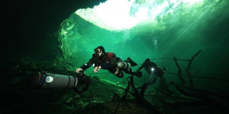 Sony BBC Earth's 'Earth’s Handpicked Tales' showcases remarkable stories of the planet