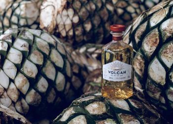 Louis Vuitton Moët Hennessy unveils Volcan de Mi Tierra in India