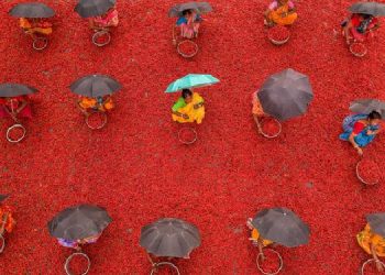 Sony BBC Earth announces winners of ‘Earth in Focus’ photography contest, “One World, Many Frames”