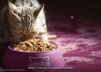 Whiskas' campaign highlights the nutritional needs of cats with cat lovers and influencers, Avinash Tiwary, Srishti Dixit and Uorfi Javed