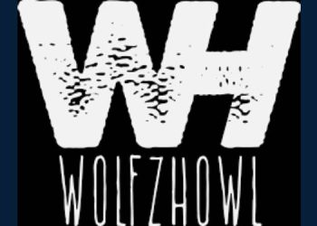WolfzHowl strengthens presence in Telugu States, aiming for regional brand growth