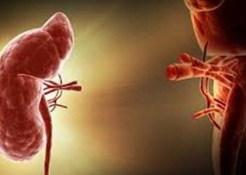 Common Causes of Kidney Disease and How to Prevent Them