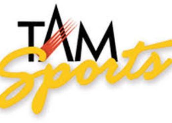 Mouth Freshener Overtakes Ecom-Gaming as Top Ad Category in IPL 2025: TAM Sports