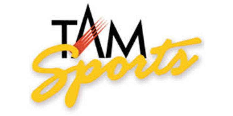 Mouth Freshener Overtakes Ecom-Gaming as Top Ad Category in IPL 2025: TAM Sports