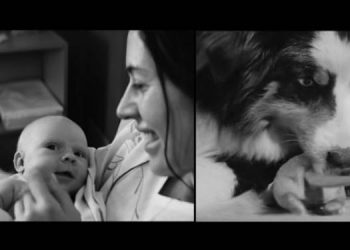 JerHigh and Hashtag Orange celebrate Dog Moms with #AllMomsLoveEqually Campaign this Mother’s Day