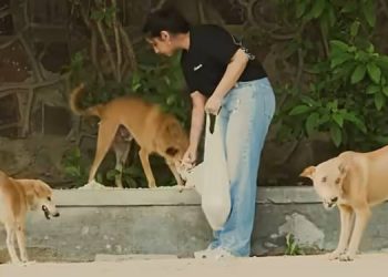 Supertails celebrates 4 years with ‘Feed a Streetie’ campaign for India’s Street Dogs