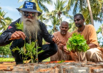 Cauvery Calling Facilitates Planting of 1.36 Cr Saplings in 2024–25, Total Plantation Reaches 12.2 Cr