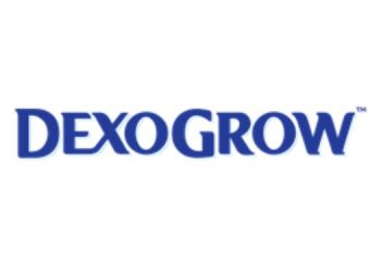 Dexogrow launches new digital campaign to champion cognitive development in children