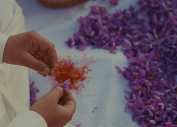 Radico Khaitan doing an integrated campaign to celebrate its debut in the luxury vodka segment with ‘The Spirit of Kashmyr’