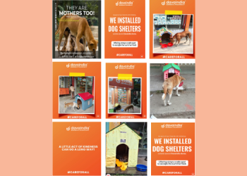 Davaindia rolls out nationwide “#CareForAll” initiative for stray dog welfare after Supreme Court ruling