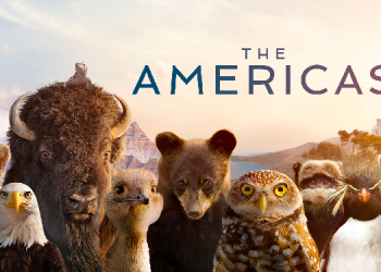 Warner Bros. Discovery brings wildlife epics with Tom Hanks and Dia Mirza