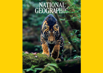 India’s Rare Black Tiger Captured by Prasenjeet Yadav Graces National Geographic Cover