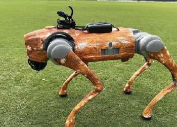 The Creative and Technical Journey of Building the Dog Cam