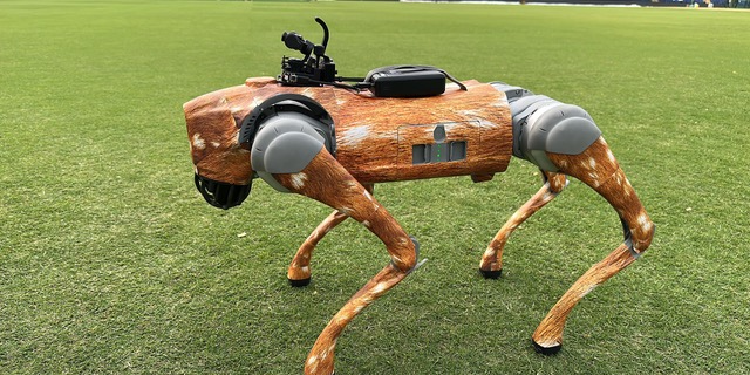 The Creative and Technical Journey of Building the Dog Cam