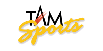 India’s WWC 2025 matches drive 3x jump in ad volumes; non-India games up 57%: TAM Sports