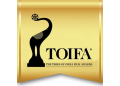TOIFA 2025 set to take place in Mumbai on December 1