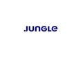 Jungle Ventures