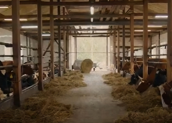 Two Brothers Organic Farms sets new food safety benchmark with India’s first certified Glyphosate-free ghee