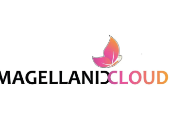 Magellanic Cloud promotes Syed Ameeruddin to CEO of E-Surveillance Business
