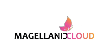Magellanic Cloud promotes Syed Ameeruddin to CEO of E-Surveillance Business