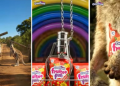ITC Candyman expands portfolio with Soft Chews, targets evolving kids’ preferences with ‘Kuch Bhi Karega’ campaign