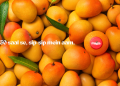 Coca-Cola India celebrates 50 years of Maaza® and India’s enduring love for mangoes