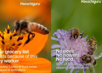Hosachiguru’s #BeyondTheHive Campaign turns spotlight on pollinators and ecological balance