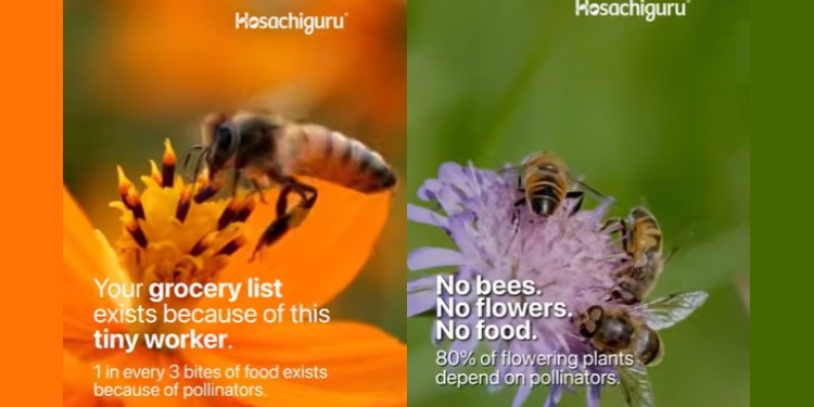 Hosachiguru’s #BeyondTheHive Campaign turns spotlight on pollinators and ecological balance