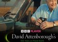 BBC Player celebrates