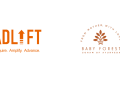 AdLift secures SEO and Content Marketing Mandate for Baby Forest