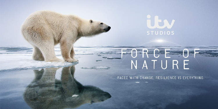 Animal Planet’s Force of Nature to make Gala Premiere at Mumbai International Film Festival 2026