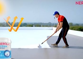 Nerolac Paints