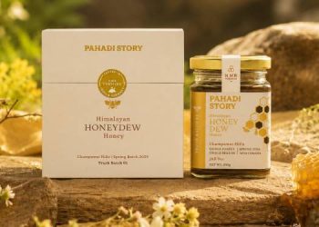 Pahadi Story