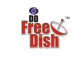 DD-free