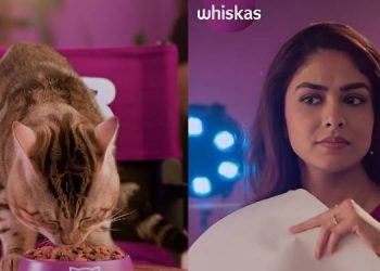 WHISKAS introduces a cat food range with a campaign featuring Mrunal Thakur
