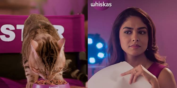 WHISKAS introduces a cat food range with a campaign featuring Mrunal Thakur