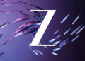 ‘Z’ wins 30 honours at GEMA, showcasing the power of brand innovation and storytelling